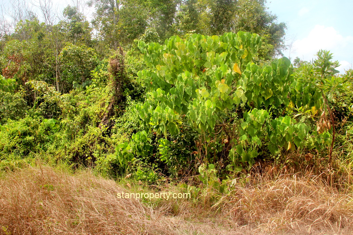 Mentakab Bungalow Land For Sale